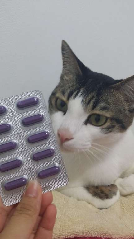 Supercut塑魔纖爆動膠囊