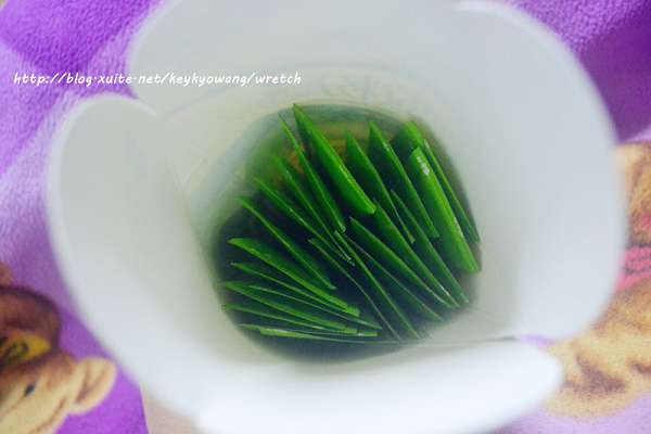 DSC_5527.JPG - 女人知已