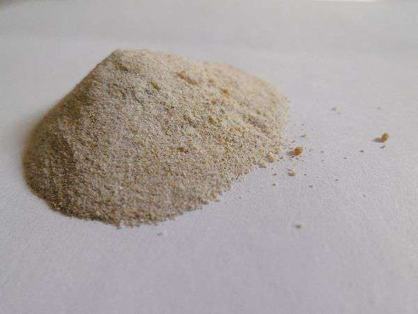 Dr.Kiwi黃金奇異啦啦粉