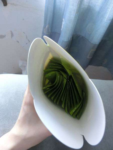 Dr.Kiwi黃金奇異啦啦粉