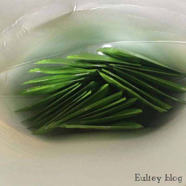 Dr.Kiwi黃金奇異啦啦粉