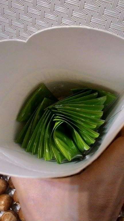 Dr.Kiwi黃金奇異啦啦粉