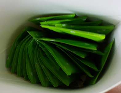 Dr.Kiwi黃金奇異啦啦粉