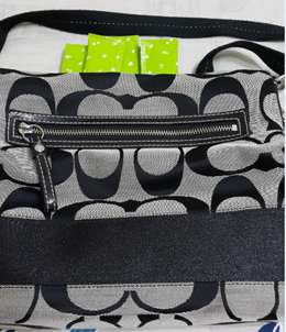 Dr.Kiwi黃金奇異啦啦粉