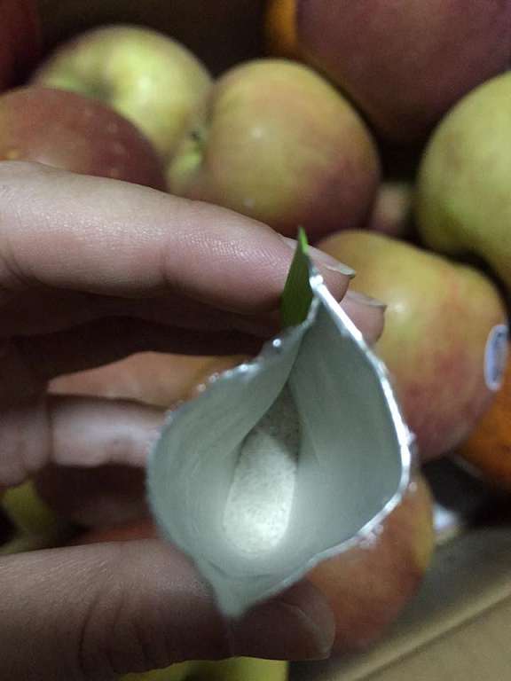 Dr.Kiwi黃金奇異啦啦粉