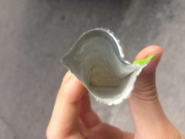 Dr.Kiwi黃金奇異啦啦粉