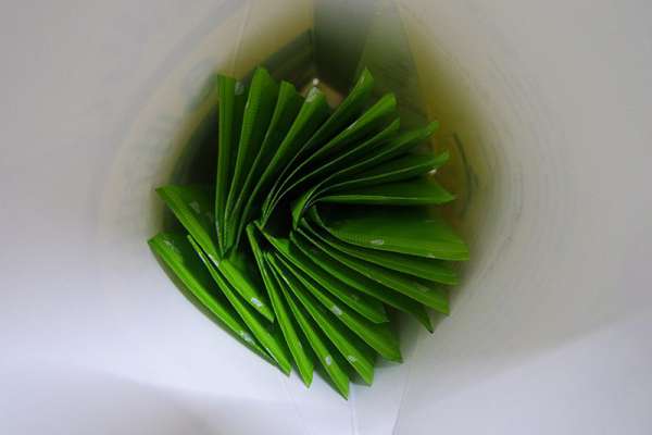 Dr.Kiwi黃金奇異啦啦粉