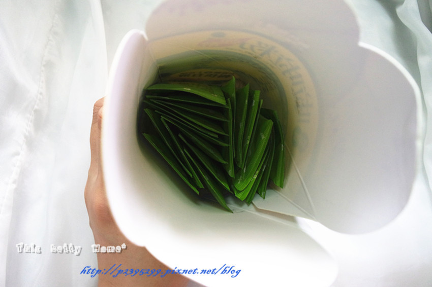 Dr.Kiwi黃金奇異啦啦粉