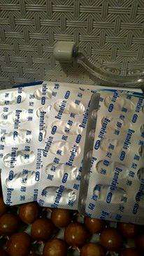 長新生技CHS鳳梨酵素