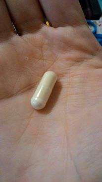 長新生技CHS鳳梨酵素