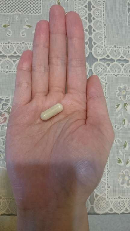 長新生技CHS鳳梨酵素