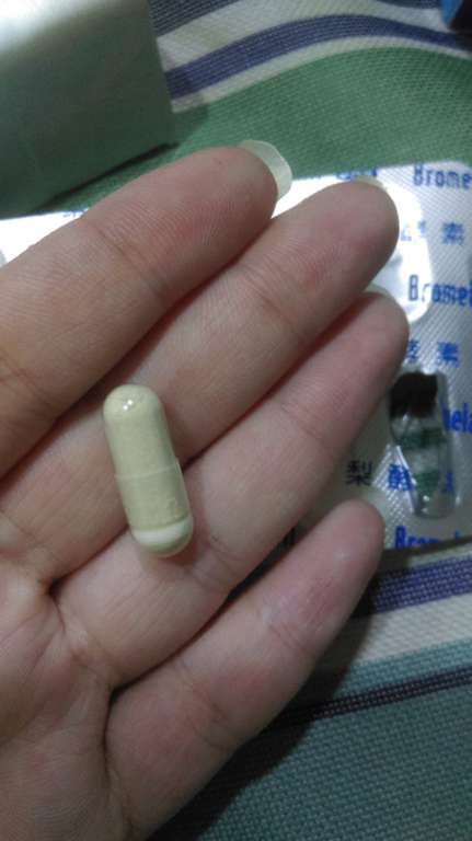 長新生技CHS鳳梨酵素