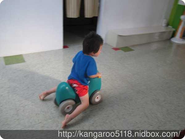 登賀生技運動龜鹿膠原凍