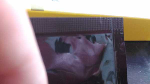 登賀生技運動龜鹿膠原凍