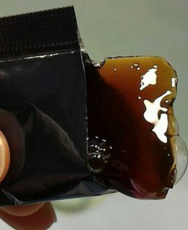 登賀生技運動龜鹿膠原凍