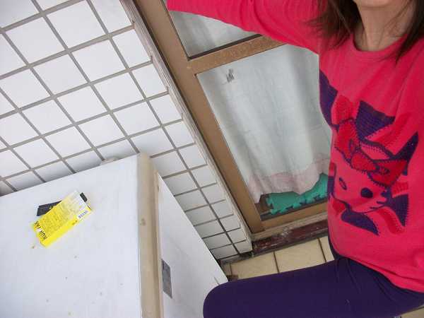 登賀生技運動龜鹿膠原凍