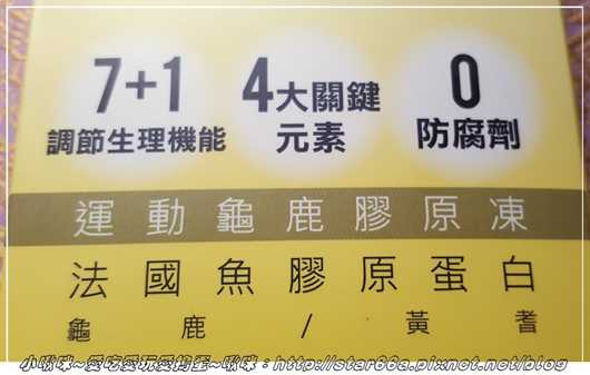 登賀生技運動龜鹿膠原凍