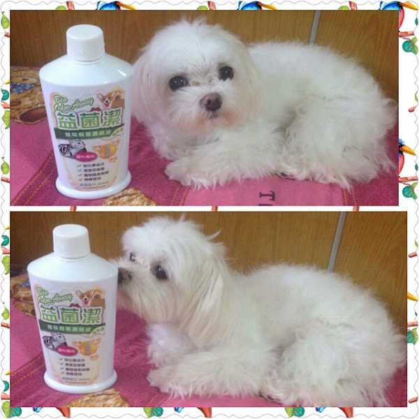 PhotoGrid_1475812561945.jpg - 105/08