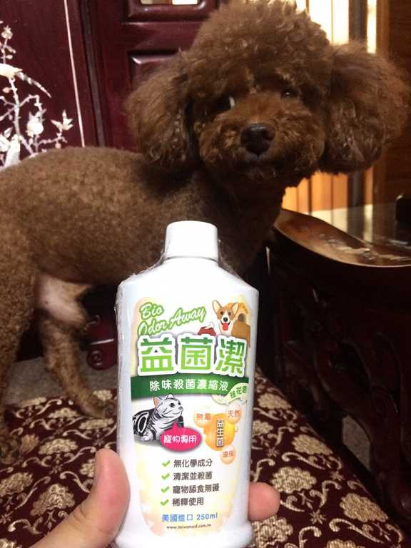 益菌潔居家清潔系列除味殺菌濃縮液寵物專用桂花香