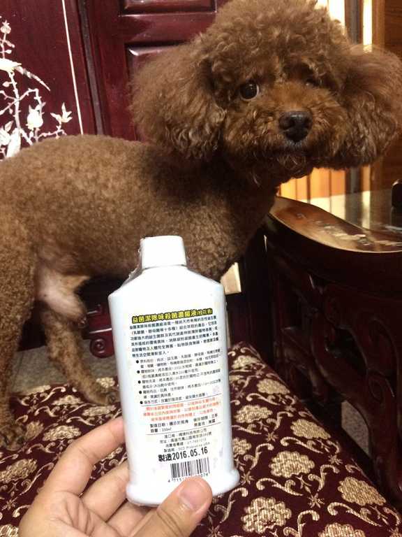 益菌潔居家清潔系列除味殺菌濃縮液寵物專用桂花香