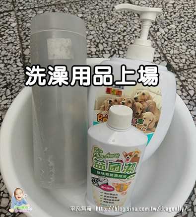益菌潔居家清潔系列除味殺菌濃縮液寵物專用桂花香