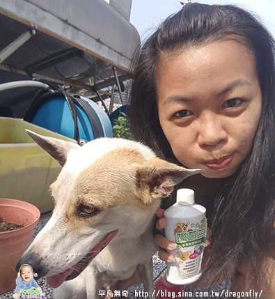 益菌潔居家清潔系列除味殺菌濃縮液寵物專用桂花香