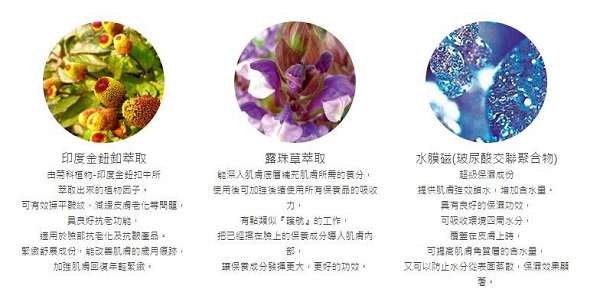 zuuth如瓷保濕緊緻精華