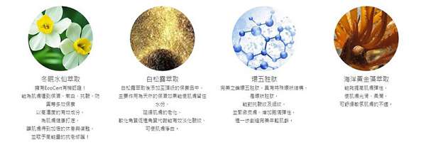 zuuth如瓷保濕緊緻精華