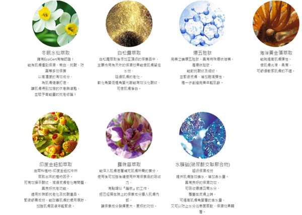 zuuth如瓷保濕緊緻精華