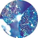 zuuth如瓷保濕緊緻精華