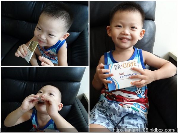 Dr.CurveS113專利乳酸菌