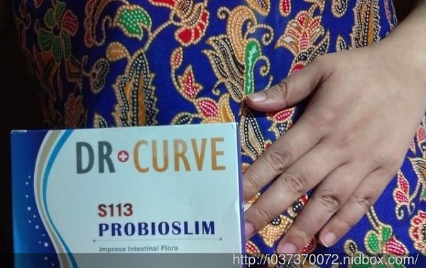Dr.CurveS113專利乳酸菌