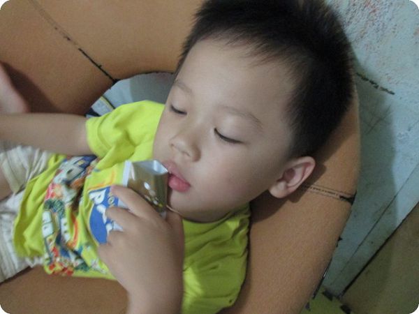 Dr.CurveS113專利乳酸菌