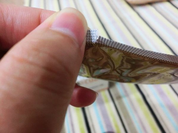 Dr.CurveS113專利乳酸菌