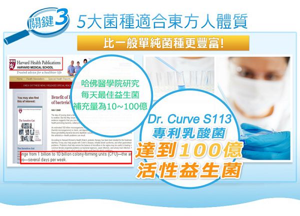 Dr.CurveS113專利乳酸菌