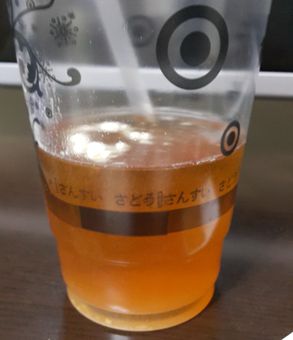 Dr.CurveS113專利乳酸菌