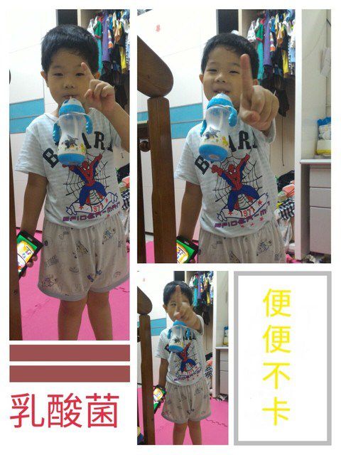 Dr.CurveS113專利乳酸菌