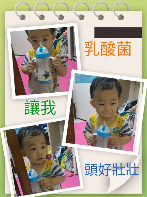 Dr.CurveS113專利乳酸菌