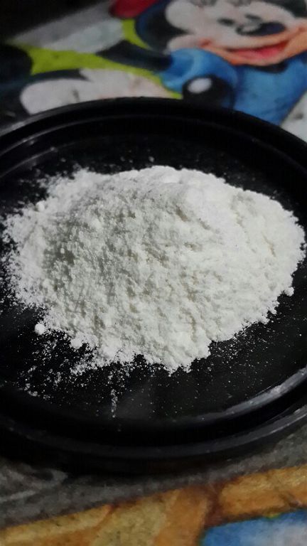 Dr.CurveS113專利乳酸菌