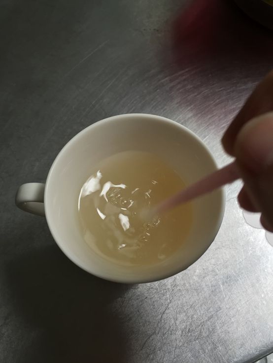 Dr.CurveS113專利乳酸菌