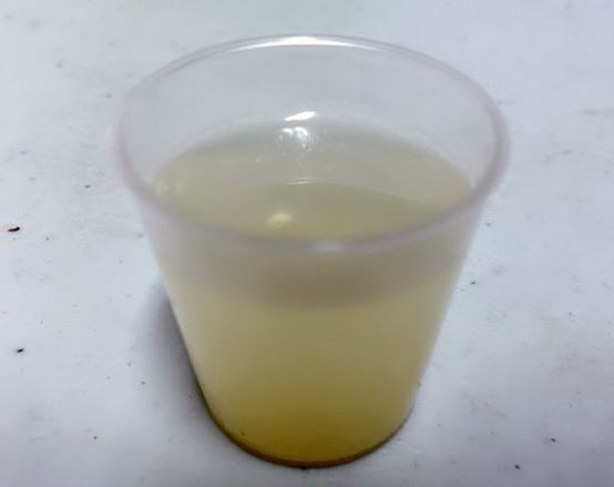 Dr.CurveS113專利乳酸菌