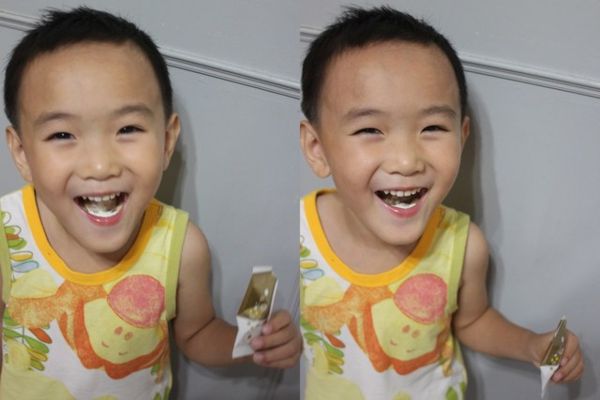 Dr.CurveS113專利乳酸菌