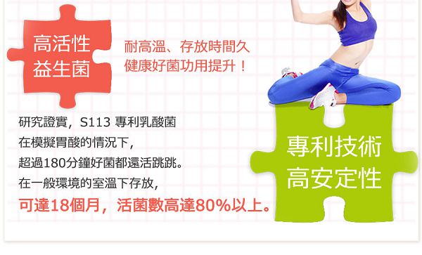 S113%E7%94%A2%E5%93%81%E4%BB%8B%E7%B4%B9