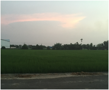 NATURKEY力萃奇防蚊液