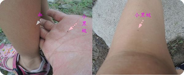 NATURKEY力萃奇防蚊液