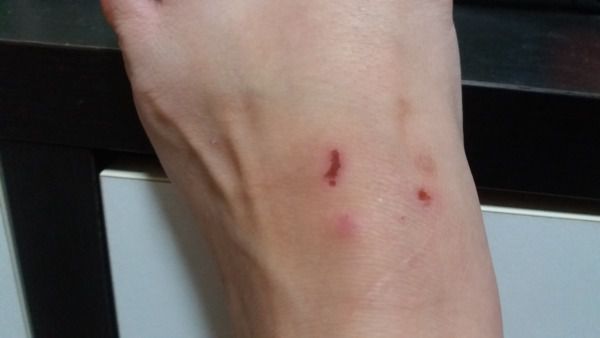 NATURKEY力萃奇防蚊液