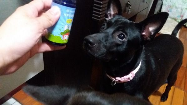 NATURKEY力萃奇防蚊液