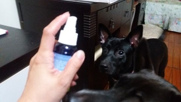 NATURKEY力萃奇防蚊液