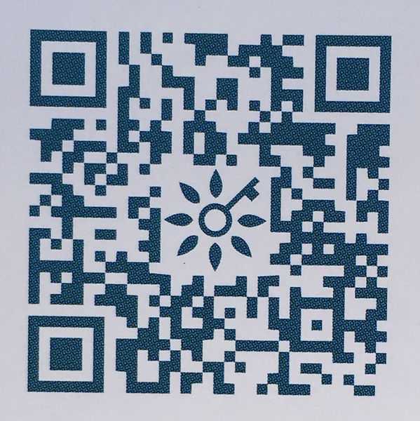 NATURKEY力萃奇旺福金安膏