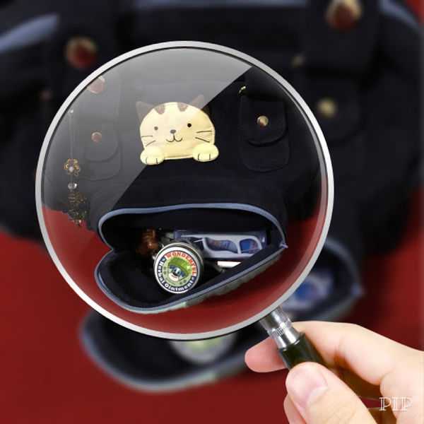 NATURKEY力萃奇旺福金安膏